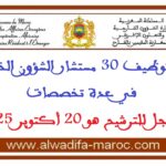 مباراة توظيف 30 مستشار الشؤون الخارجية. آخر أجل هو 20 أكتوبر 2025