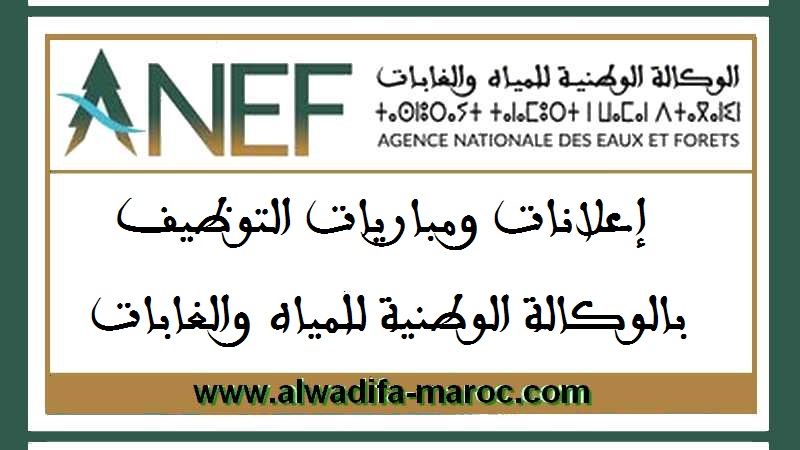 مباراة توظيف 02 تقنيان من الدرجة الثالثة. آخر أجل للترشيح هو 10 دجنبر 2025
