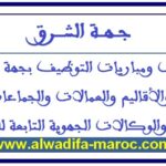 مباراة مشتركة لتوظيف 68 منصبا من أطباء عامين، أطباء بيطريين، ممرضين، تقنيي الصحة، تقنيين بأقاليم جهة الشرق. آخر أجل هو 10 دجنبر 2025
