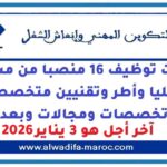 مباريات توظيف 16 منصبا من مسؤولين وأطر عليا وأطر وتقنيين متخصصين في عدة تخصصات ومجالات وبعدة مدن