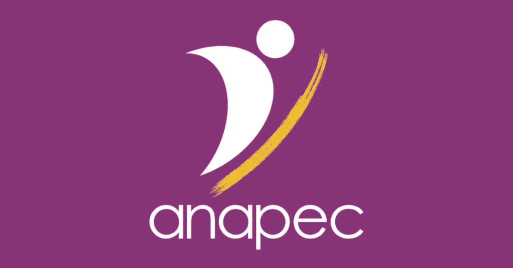 Anapec recrute 15 Techniciens Réseaux et Télécoms Salaire 5000 Dhs